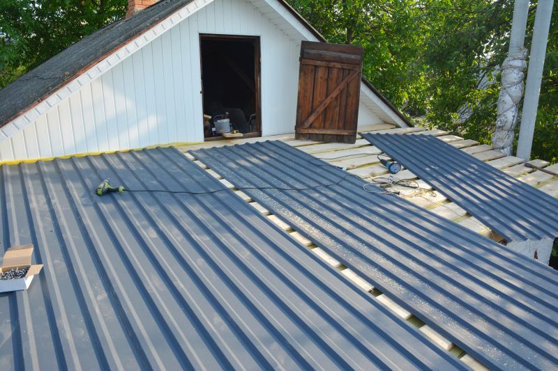 Replace Metal Roof